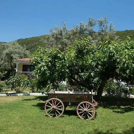 Lägenhetshotell Ilios &